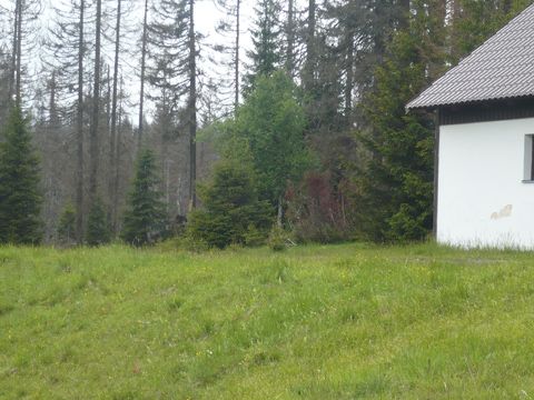 Foto 23